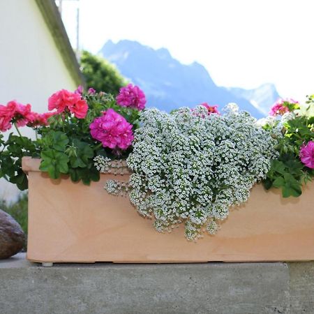 Apart Brigitta Sankt Leonhard im Pitztal Bagian luar foto